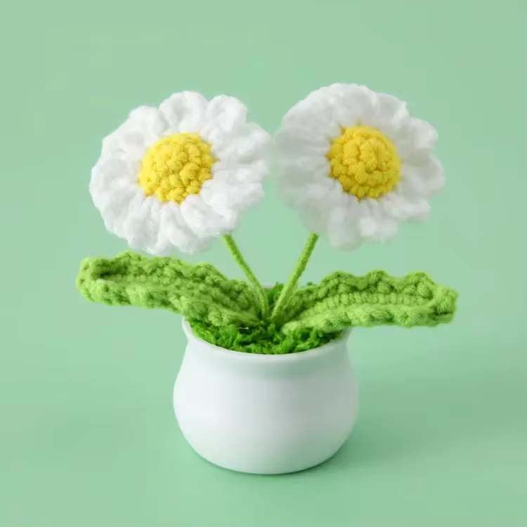 Mignon marguerite Crochet fleurs en pot tissé fleur créative