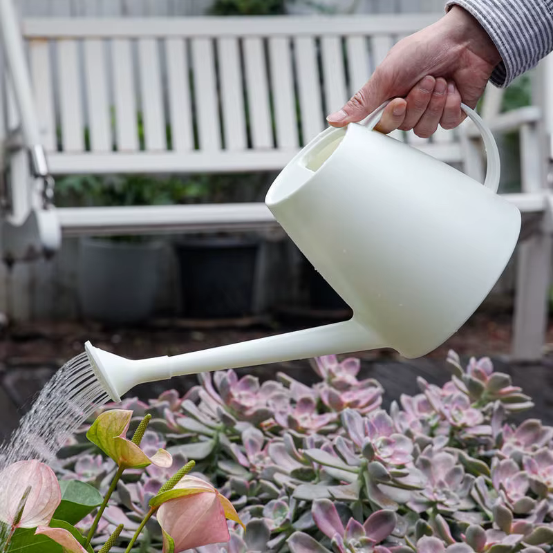 Arrosoir en plastique, fournitures de jardinage