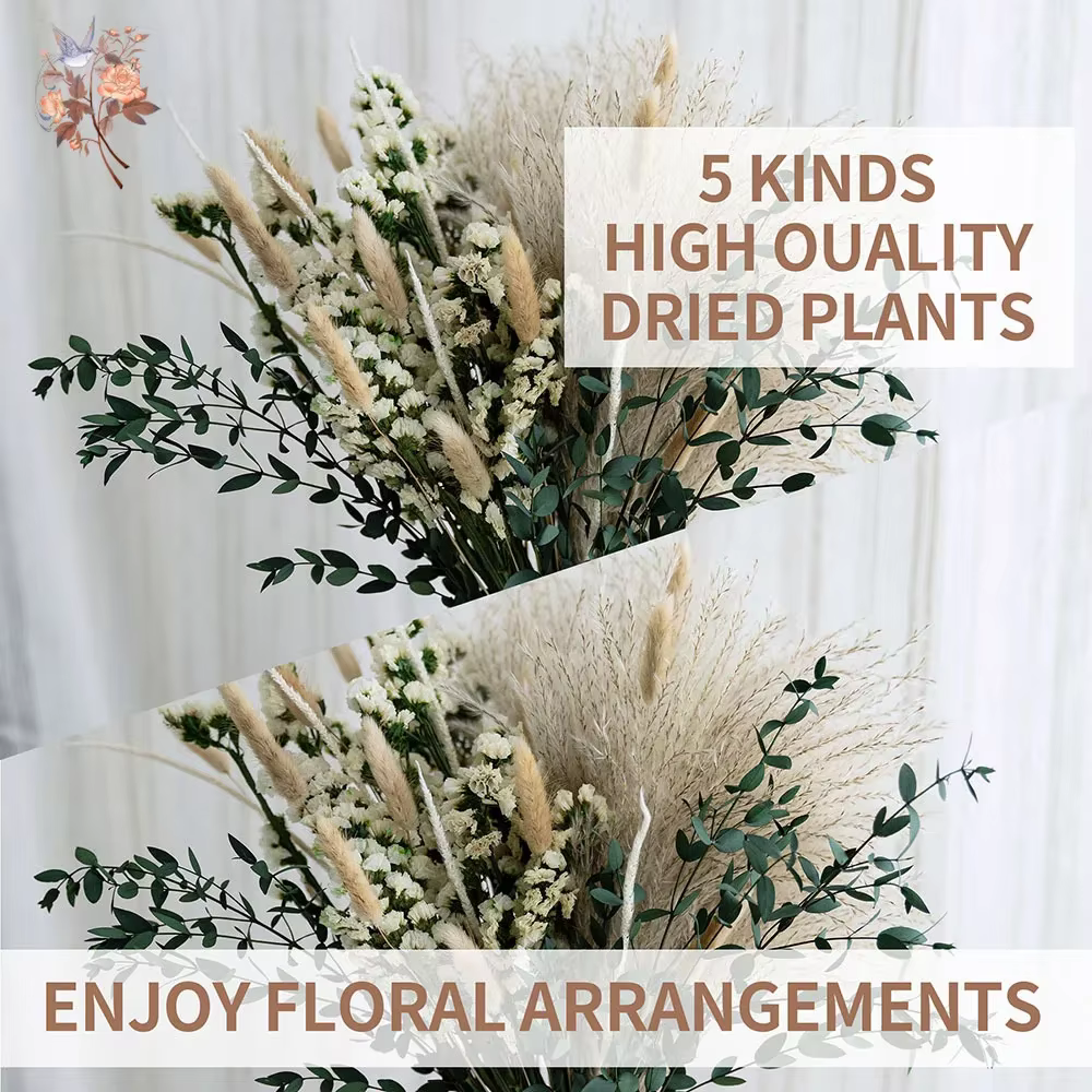 Ensemble de bouquets de fleurs d'eucalyptus Pampas séchées naturelles
