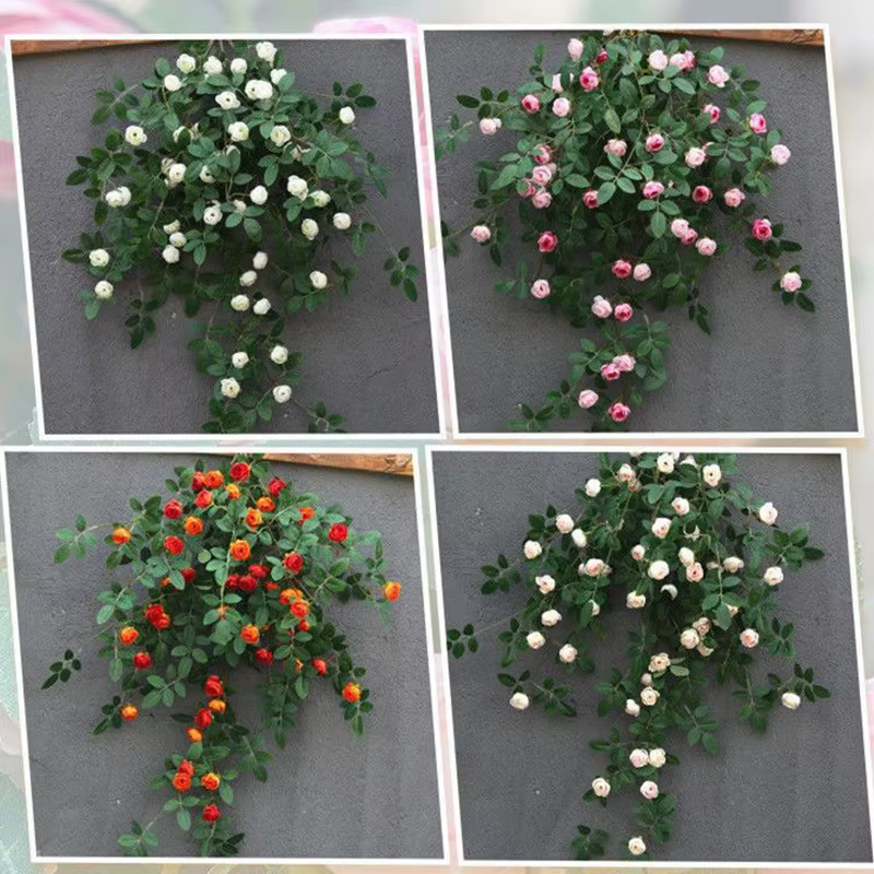 Plantes feuilles de Lierre vertes