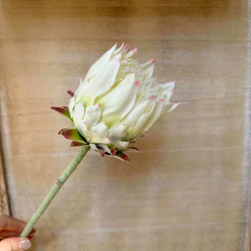Fleurs artificielles King Protea réalistes
