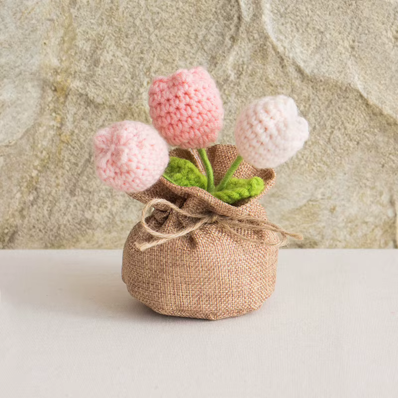 Belle tulipe Crochet en pot tricoté tulipes