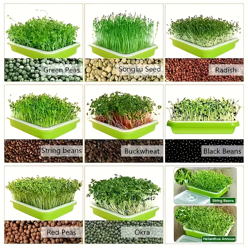 Kit de germination rapide 4 pièces (2 ensembles) avec plateaux