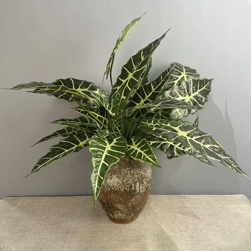 Simulation de plantes vertes Taro Levesf