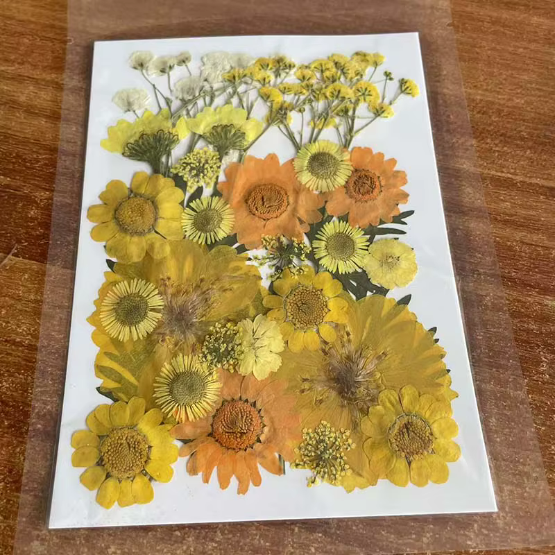 Kit de matériaux combinés de feuilles de fleurs séchées