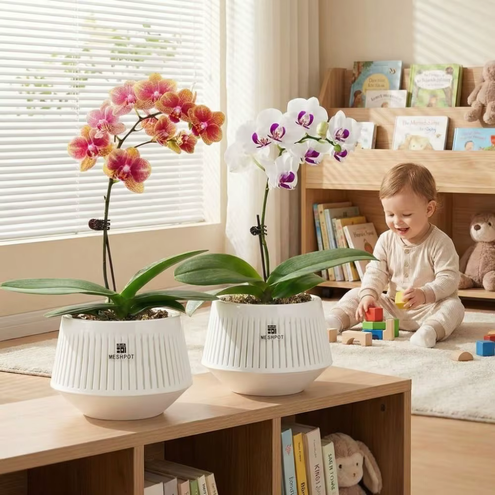 Pot à orchidées en maille de type split