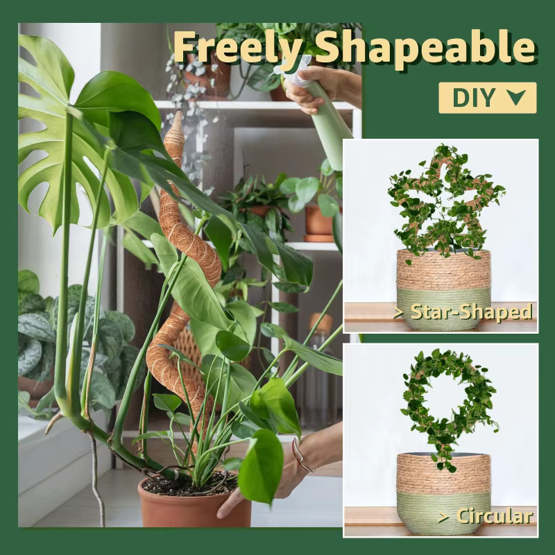 Poteau d'escalade pour plantes