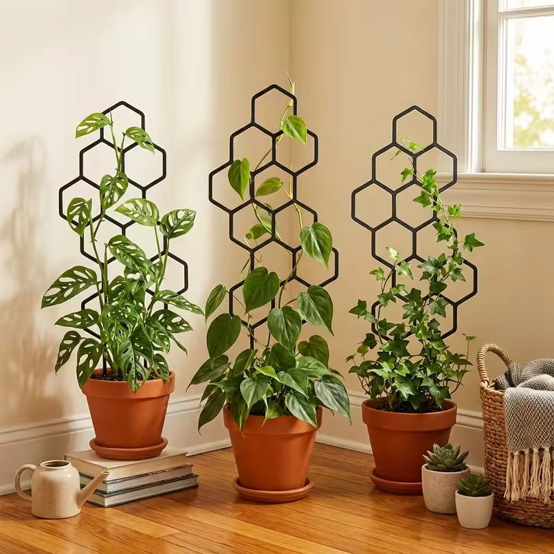 2 supports pour plantes grimpantes en nid d'abeille (38x15cm) – Support peu encombrant