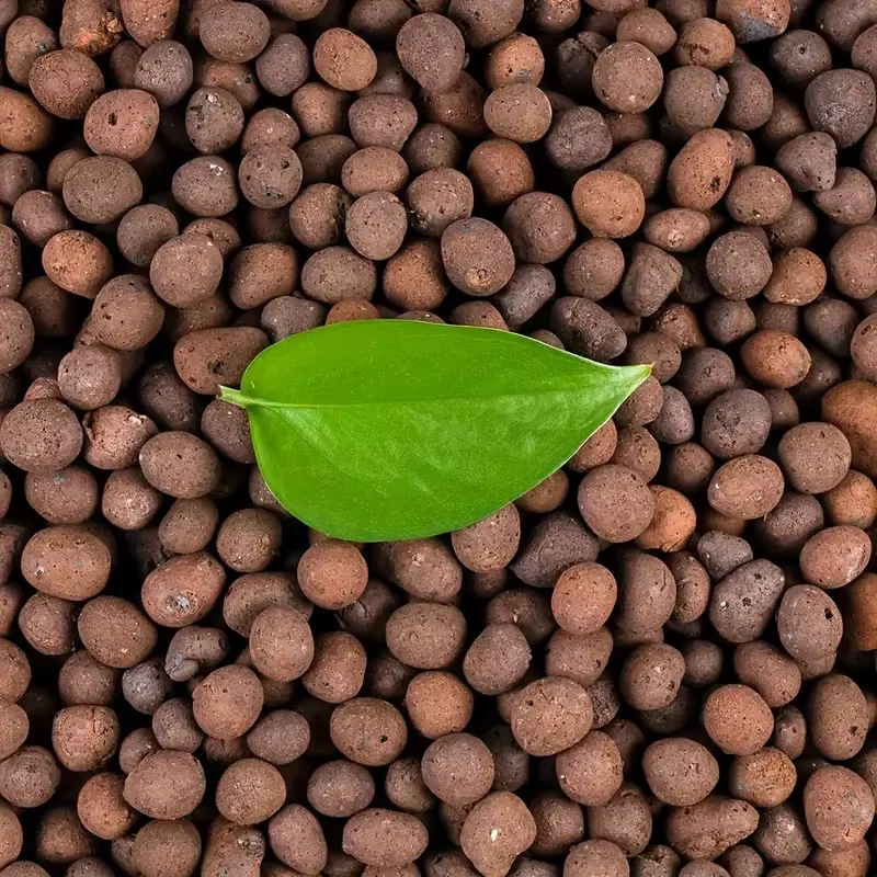 Boules d'argile médicamenteuses élargies hydroponiques de jardin