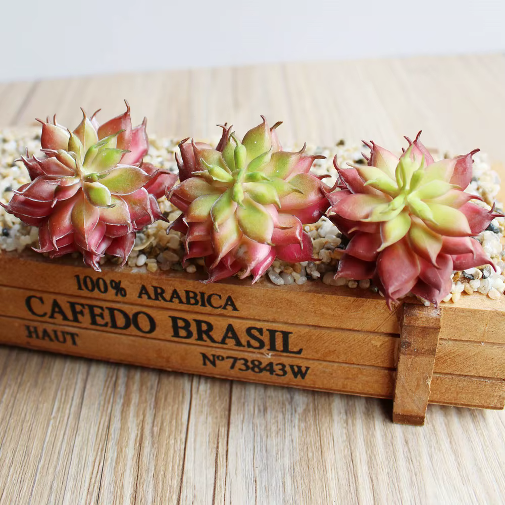 Mini plantes succulentes artificielles Lotus