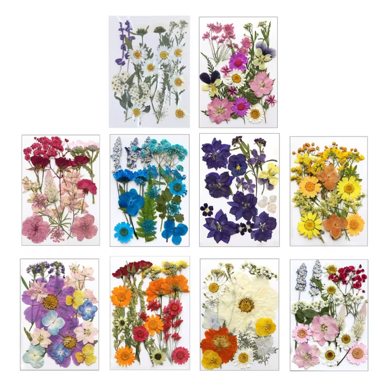 Fleur séchée pressée pour moules en résine
