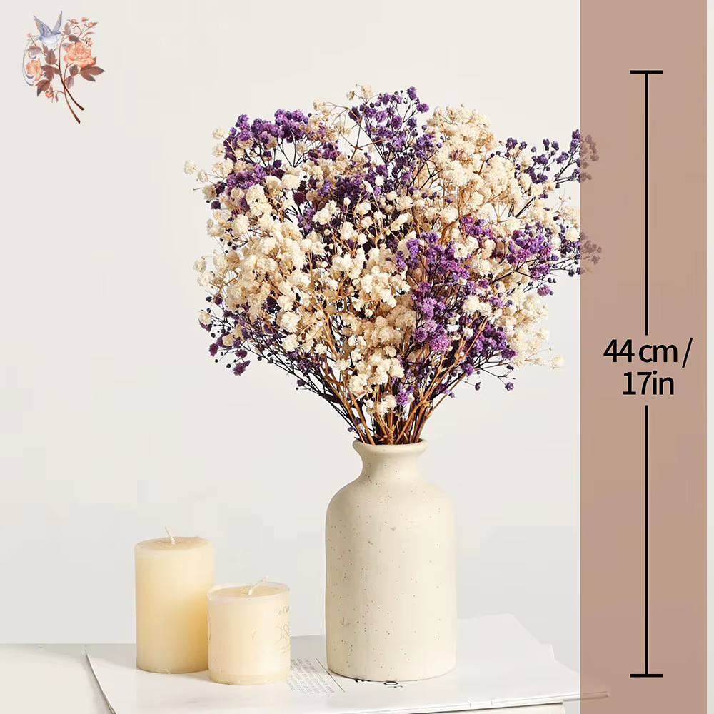 Bouquet de fleurs séchées naturelles Gypsophila (Souffle de bébé) 120g