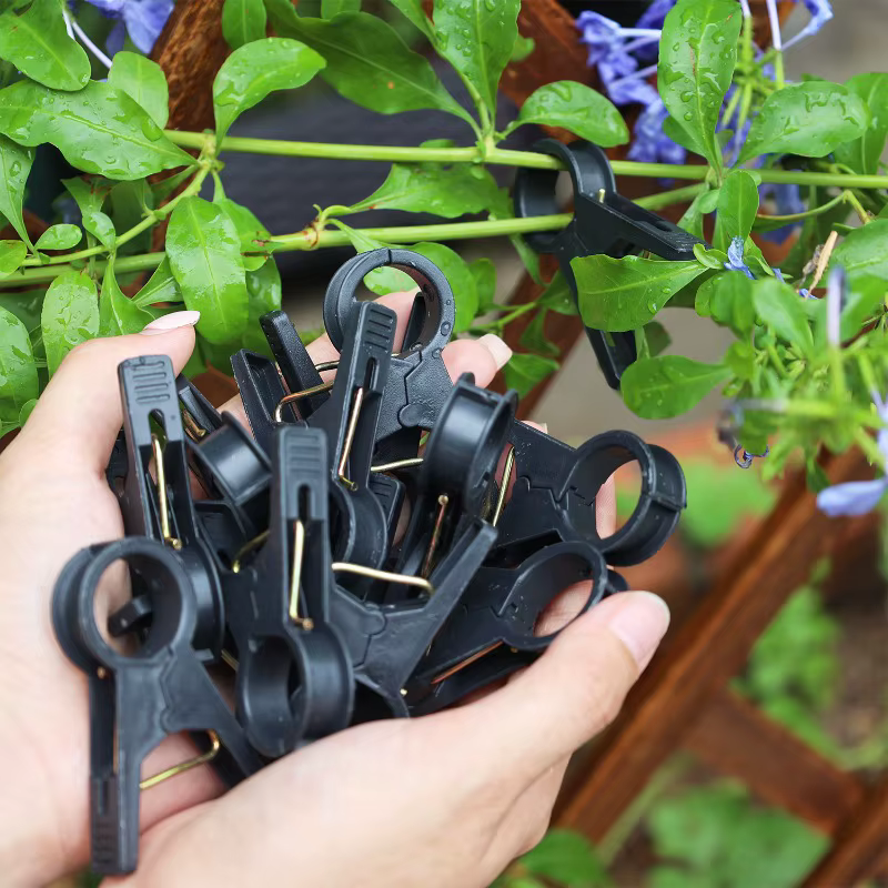 Clips de Support pour plantes