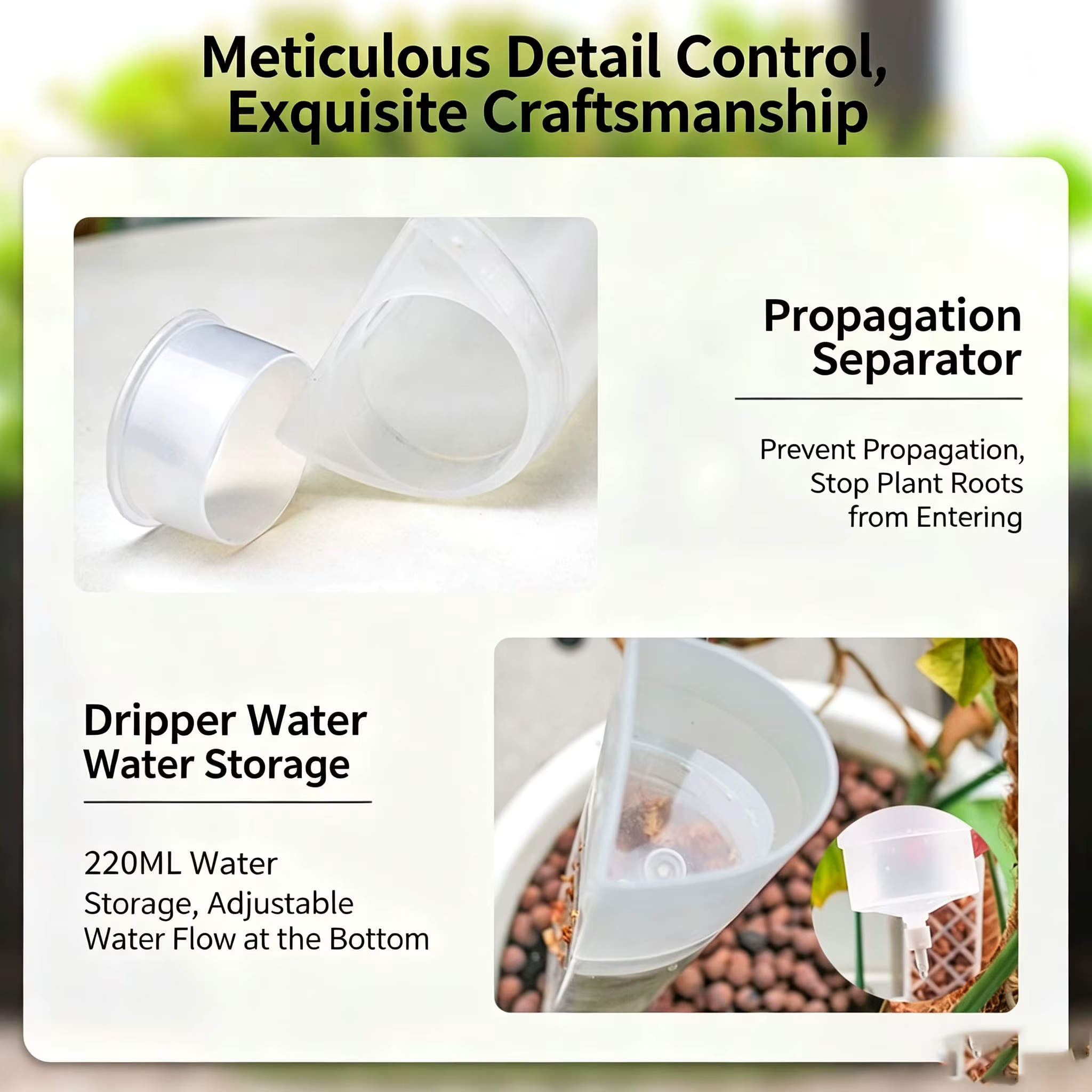 Poteau de fixation pour plantes grimpantes en bambou