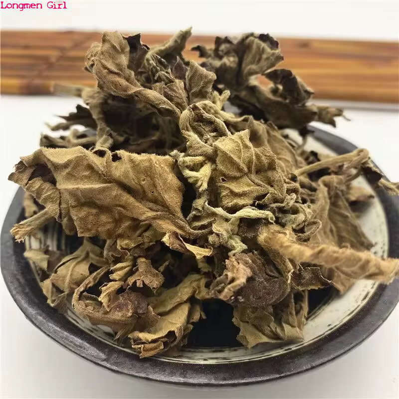 Patchouli séché naturel de haute qualité