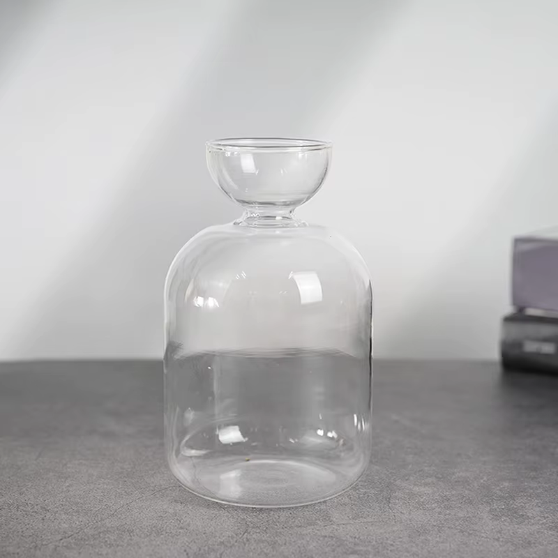 Vase hydroponique transparent en verre pour semis d'avocat