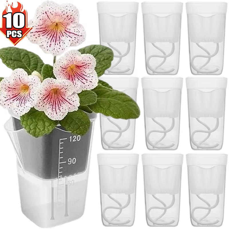 Petits pots auto-arrosants pour plantes d'intérieur