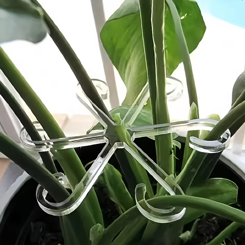 Clips de Support pour plantes grimpantes