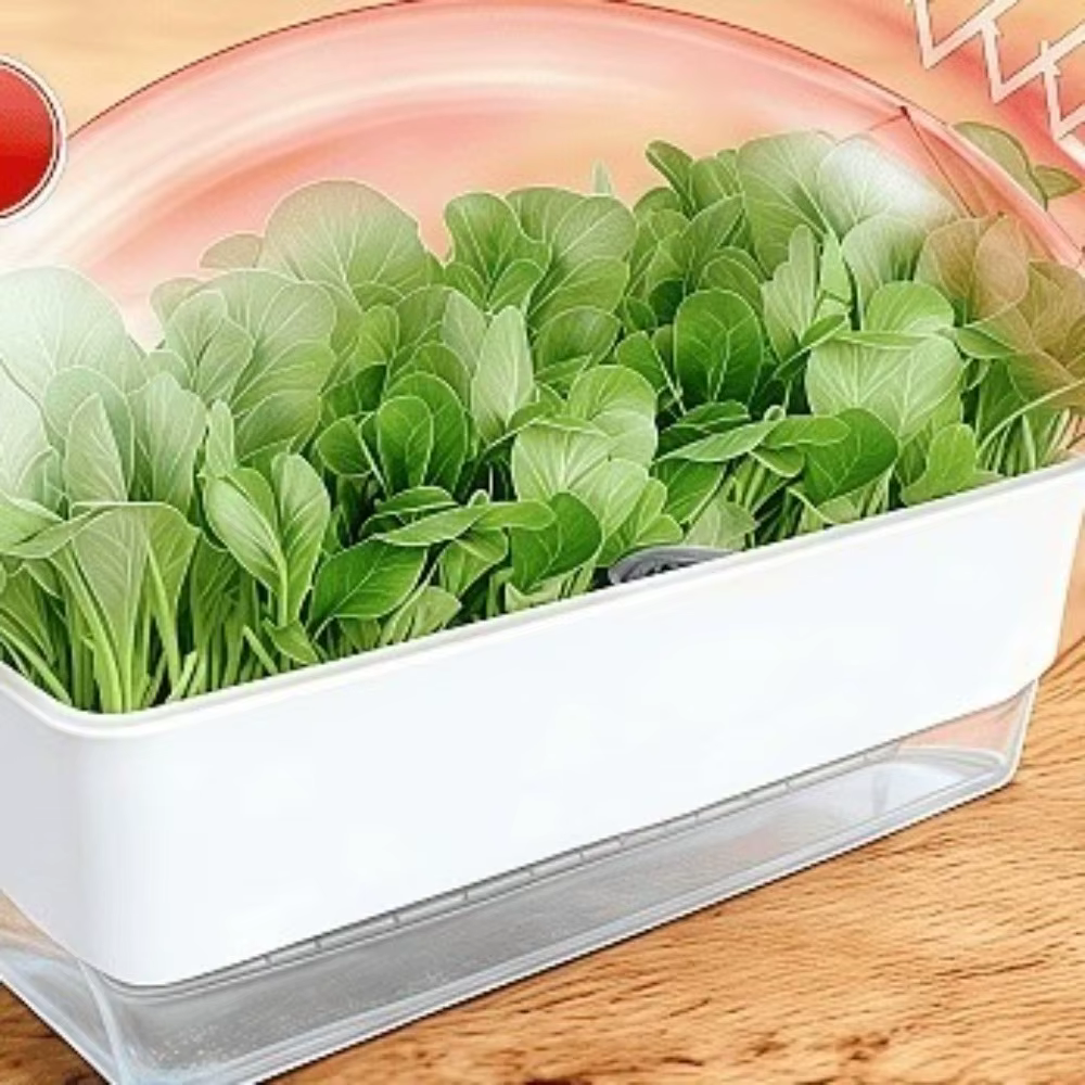 Pots de culture hydroponique en plastique épaissi