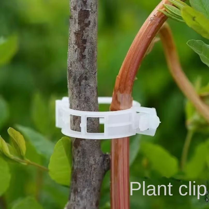 Clips de Soutien Réutilisables en Plastique pour Plantes