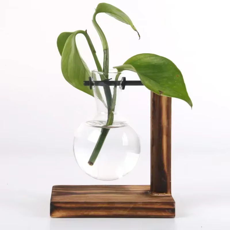 Plante hydroponique Terrarium Vasevase décoration maison bouteille en verre