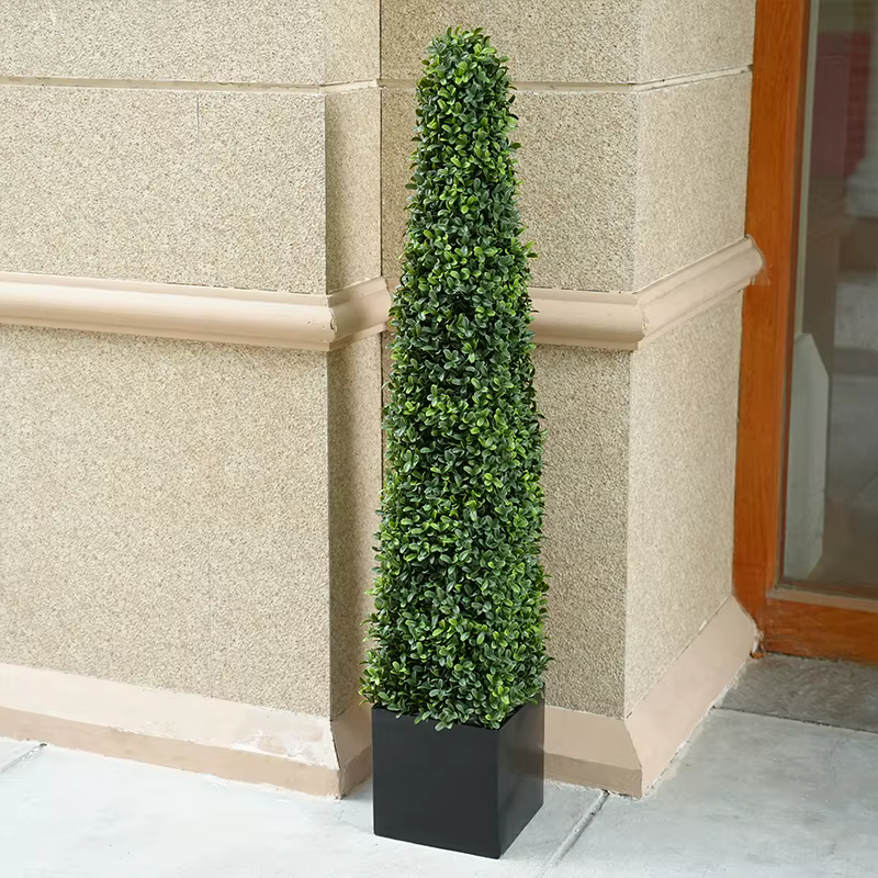 Plantes vertes en pot de cuir chevelu Milan Él