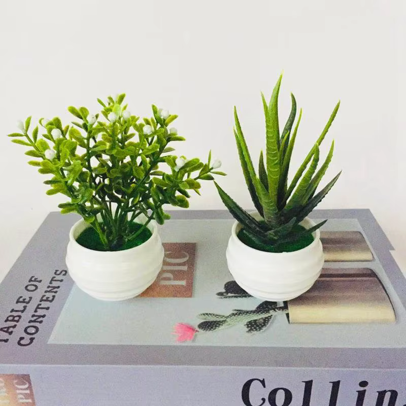 Artificielles Plantes d'Aloès Mini Plantes Forme Bonsaï