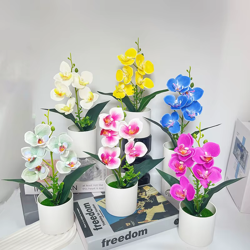 Simulation de 5 fleurs