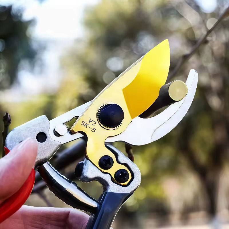 Ciseaux horticoles pour couper des Branches