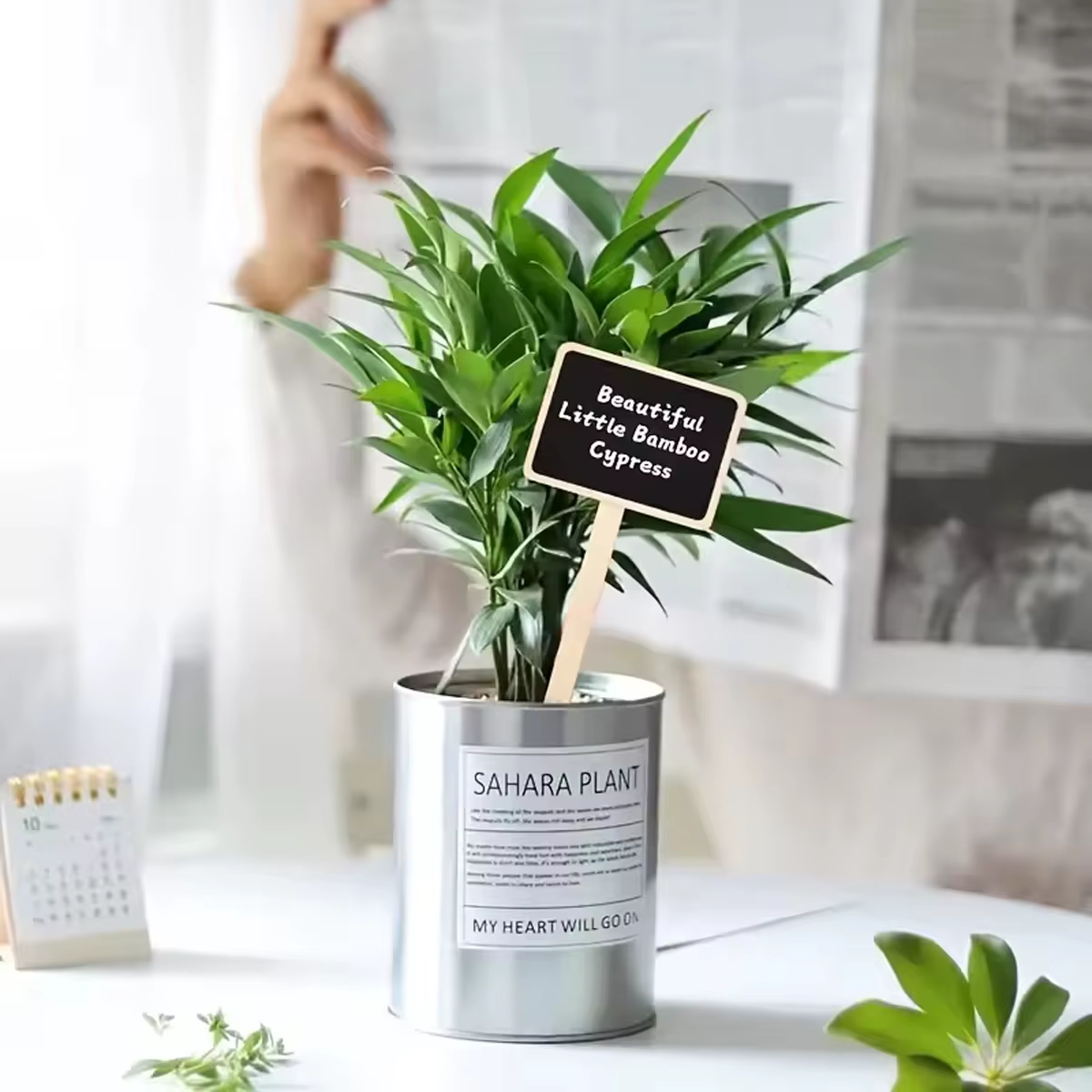 Étiquettes de plantes rustiques en bois, panneaux de jardin en forme de T, tableau noir, support au sol, 10 pièces