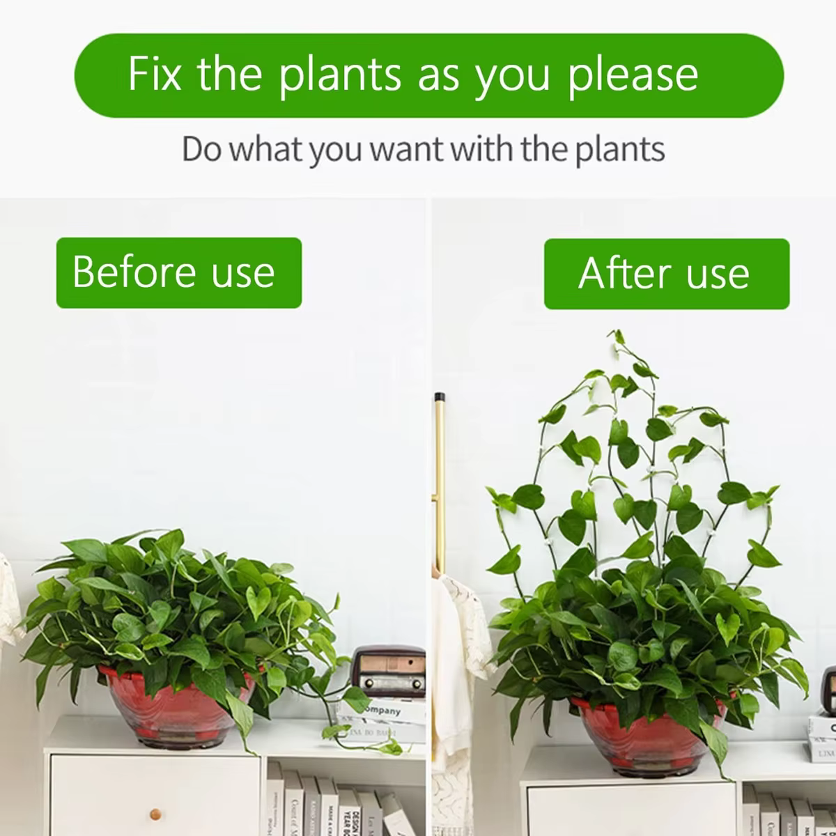 Clips de Fixation Murale en Rotin pour Plantes d'Escalade