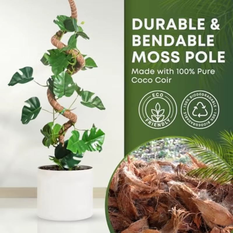 Poteau de mousse pliable pour plantes, Fiber de palmier de noix de coco, Support de plantes Monstera, fait à la main, escalade de Coco, accessoires de jardin DIY