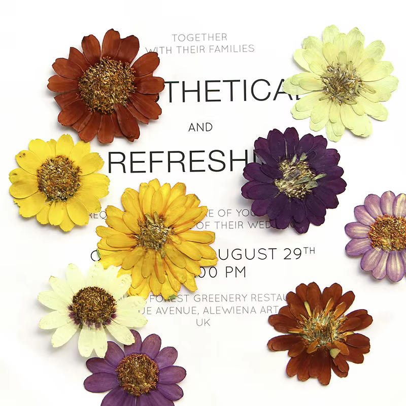 Kit d'art de fleurs pressées réelles