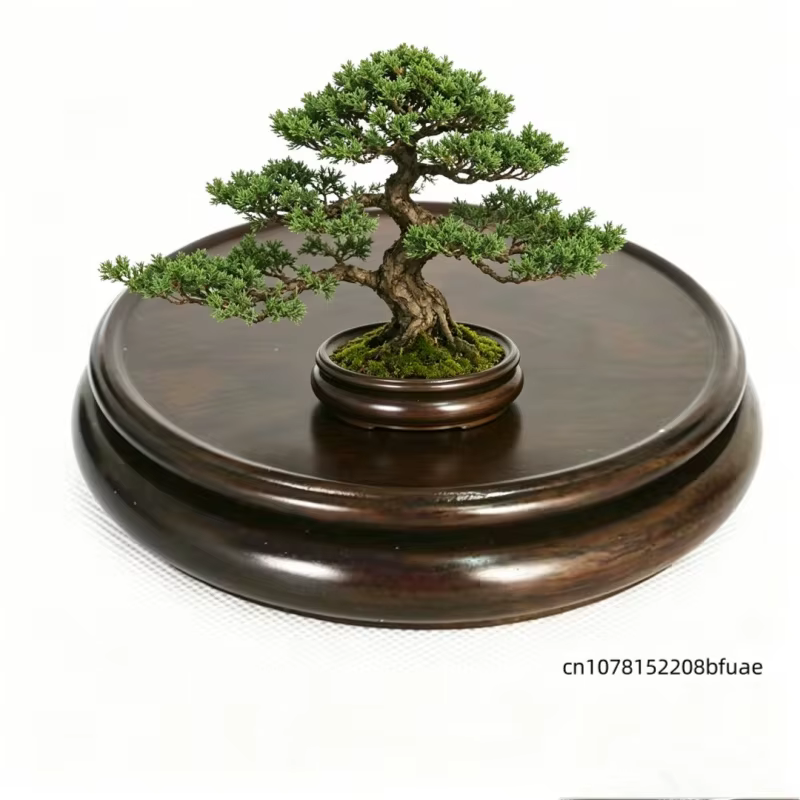 Support de Plante Rond Simple en Bois Massif