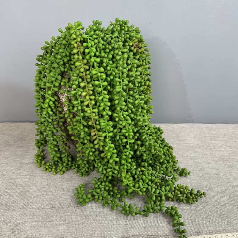 Plantes succulentes artificielles vives