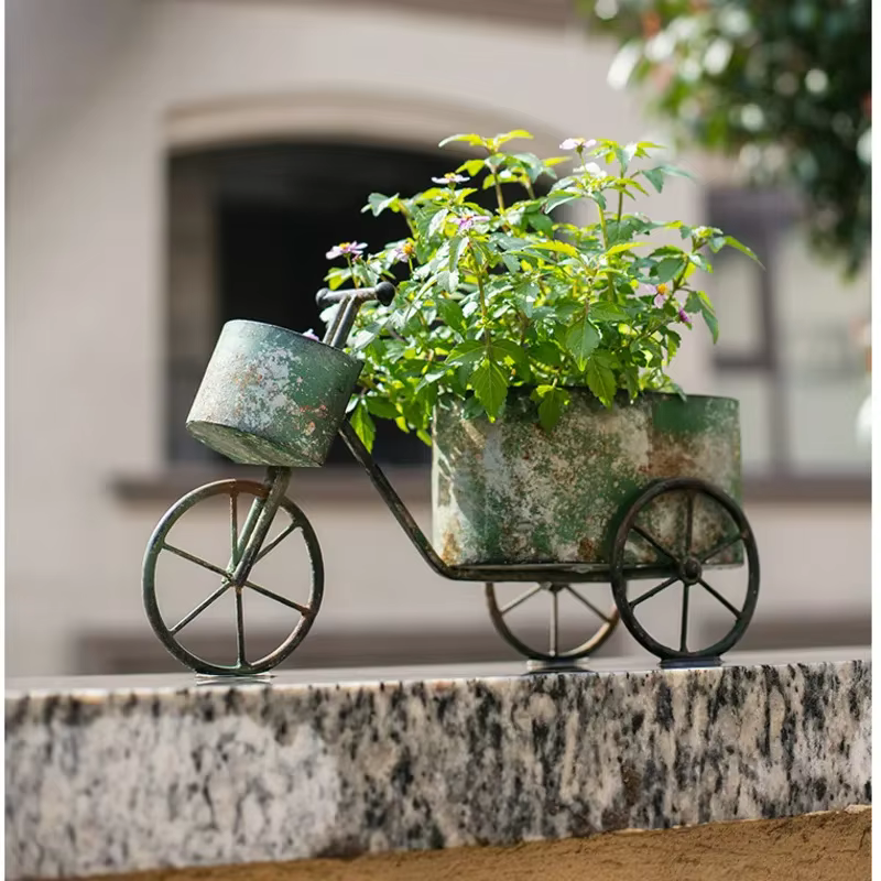Jardinière de fleurs de vélo Vintage