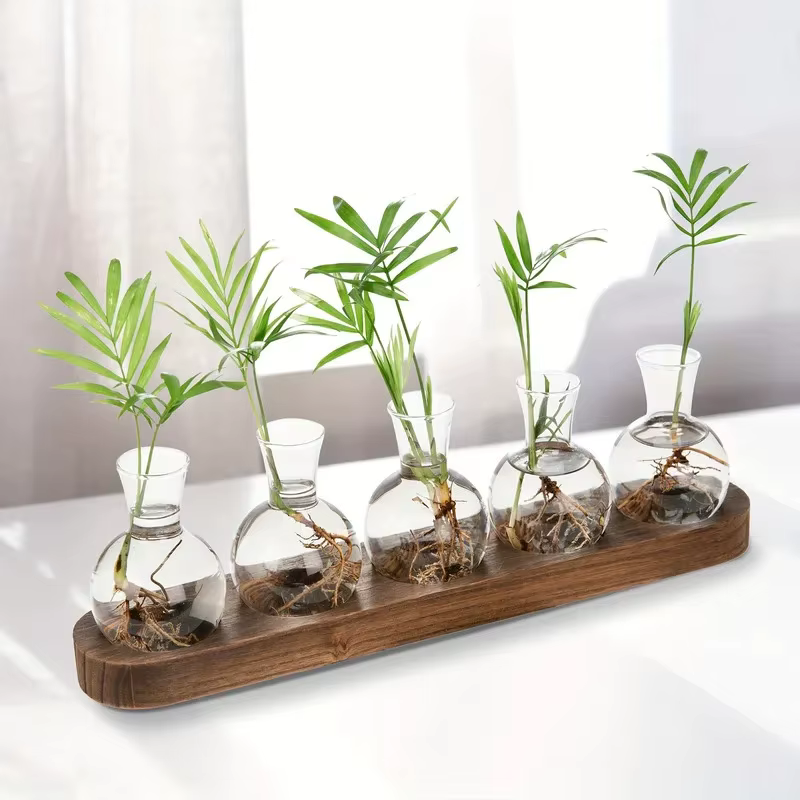 Terrarium en verre pour plantes avec plateau en bois – Pour vase hydroponique d'épandation intérieure