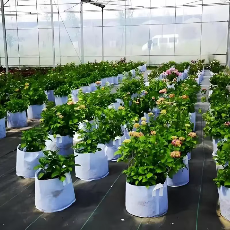 Pots ronds en tissu, sacs de culture