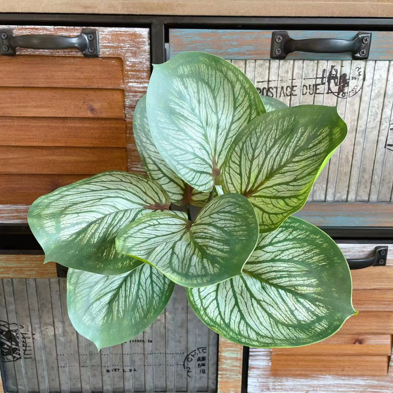 Plante artificielle en soie