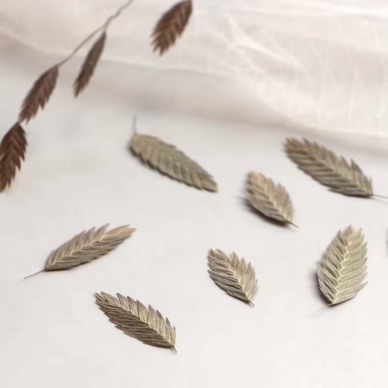 2-4Cm/24 pièces, feuilles de panthera naturelles fleur sèche en relief époxy coque de téléphone signet plante cadre Photo journal Album artisanat fournitures