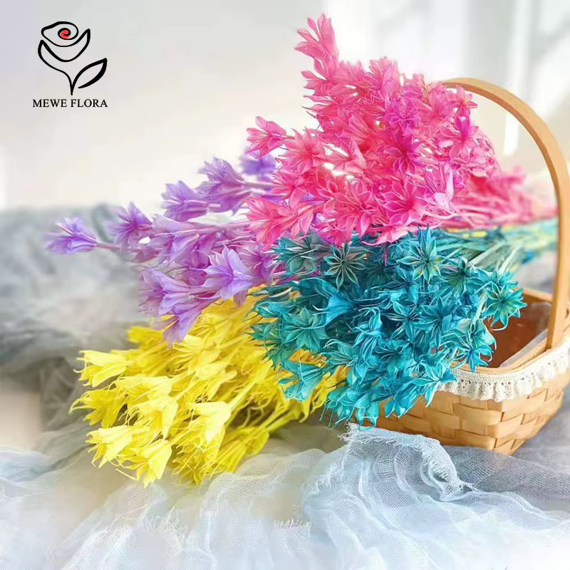 Véritables branches de fleurs d'anis étoilé séchées fraîches