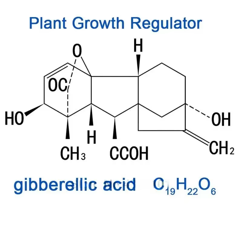 Régulateur de croissance des plantes, 2 sacs, concentré d'acide gibberellique 920, pour pause du sommeil, engrais, augmente la Production pour la maison, le jardin, bonsaï