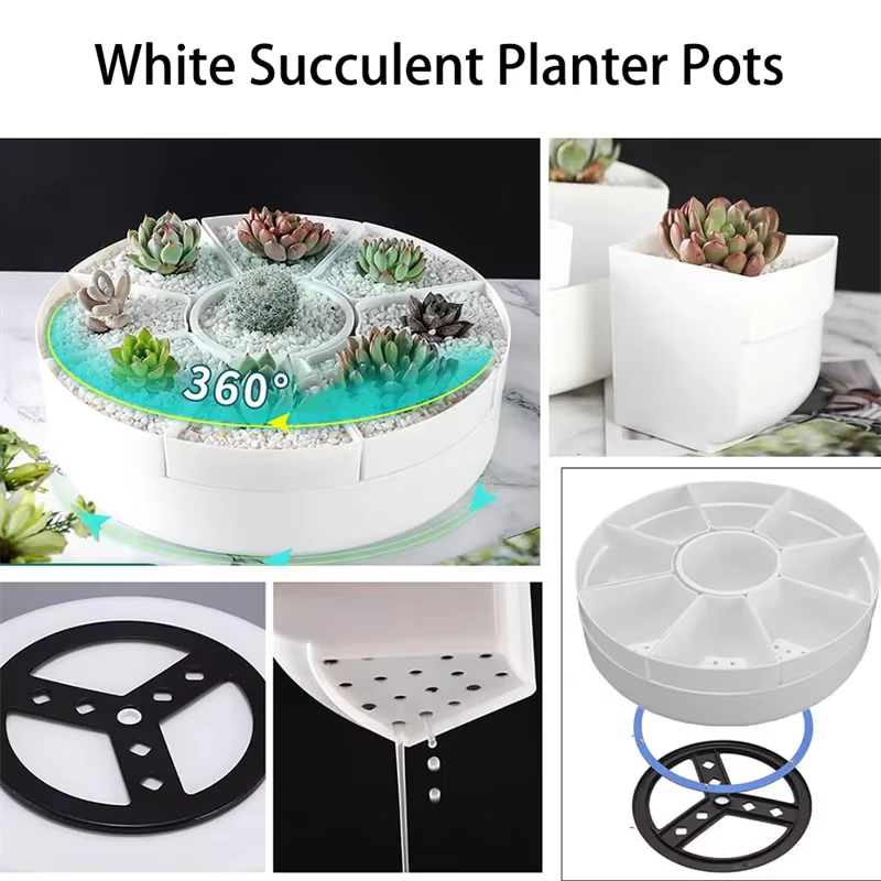 Pots de fleurs rotatifs multiples de forme ovale - Plante en pot pour plantes succulentes blanches - Pot de rangement