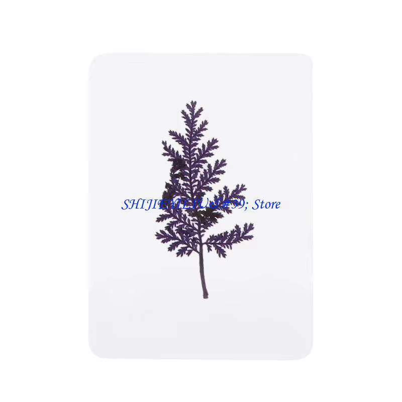 Mélange feuilles fleurs pressées E21F
