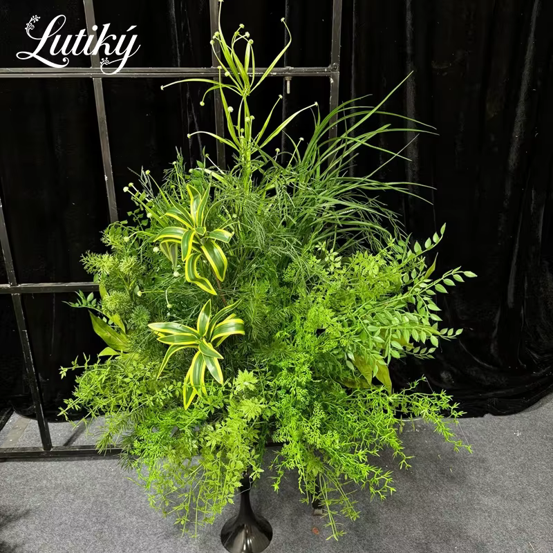 Série de plantes vertes d'extérieur