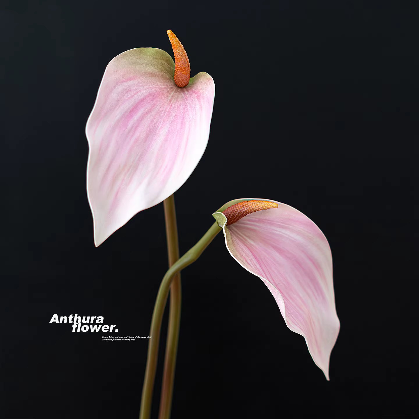 10 pièces EVA 3D impression paume artificielle Anthurium plantes fleur branche bricolage décoration de mariage matériel d'arrangement Floral