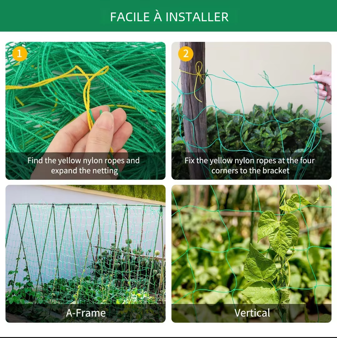 Pergolas de treillis pour plantes