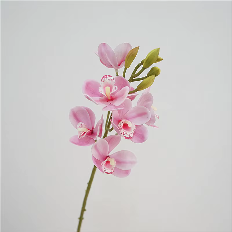 Cymbidium en Latex au Toucher Réel