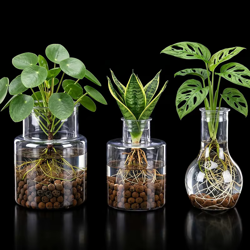 Pot de culture hydroponique en résine transparente