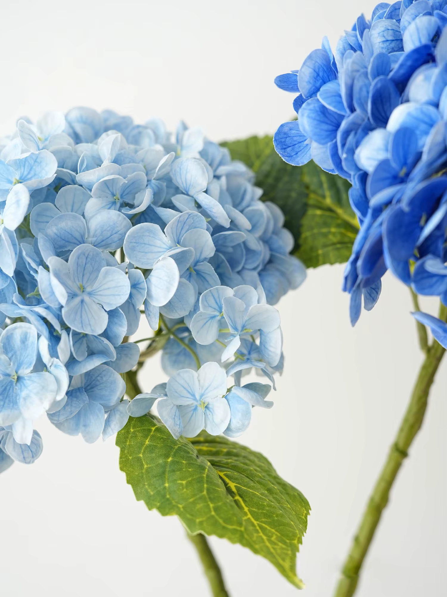 Fleurs d'hortensia artificielles bleues